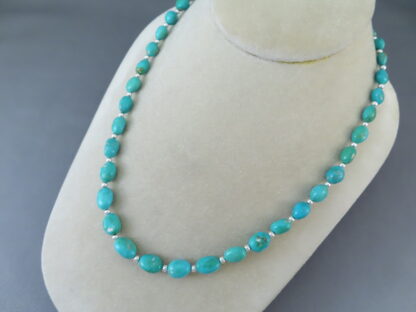 Single Strand Turquoise Necklace (Sonoran Gold Turquoise)