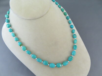 Single Strand Turquoise Necklace (Sonoran Gold Turquoise)