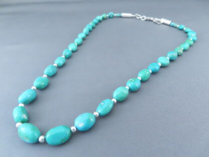 Single Strand Turquoise Necklace (Sonoran Gold Turquoise)