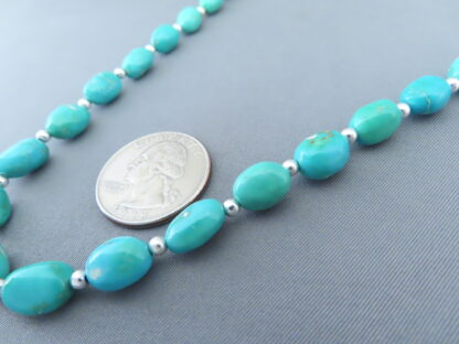 Single Strand Turquoise Necklace (Sonoran Gold Turquoise)