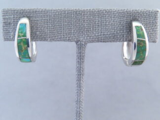 Turquoise Inlay Earrings (Sonoran Gold Turquoise)